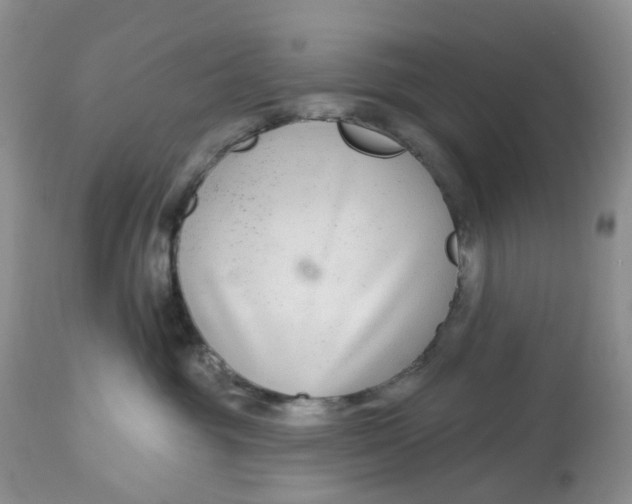 X0000112800381200909111241