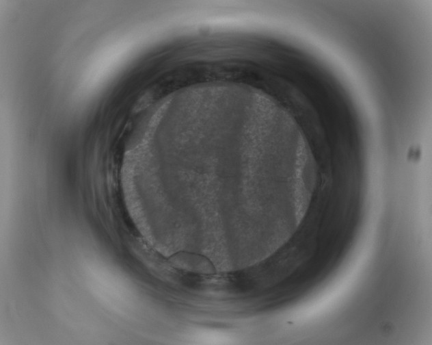 X0000112800382200909111241