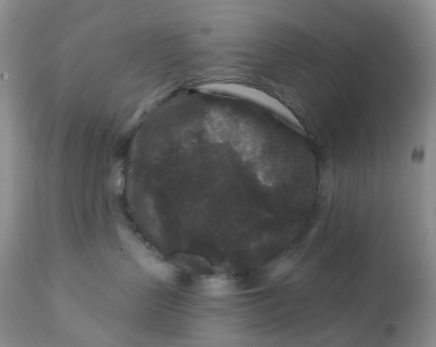 X0000112800383200909111241