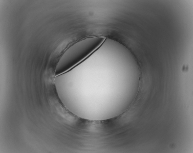 X0000112800384200909111241