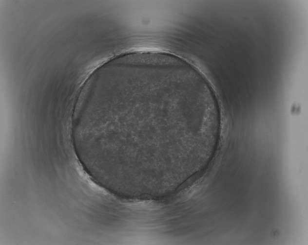 X0000112800385200909111241