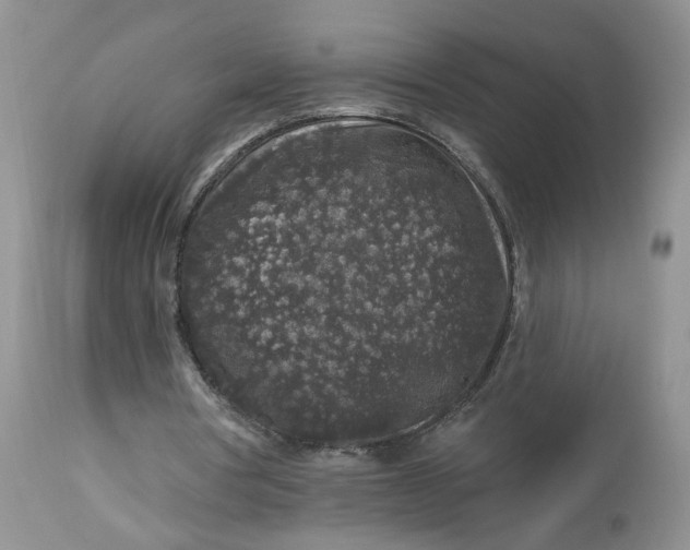 X0000112800386200909111241