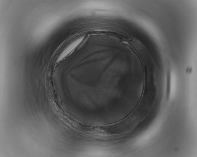 X0000112800387200909111241