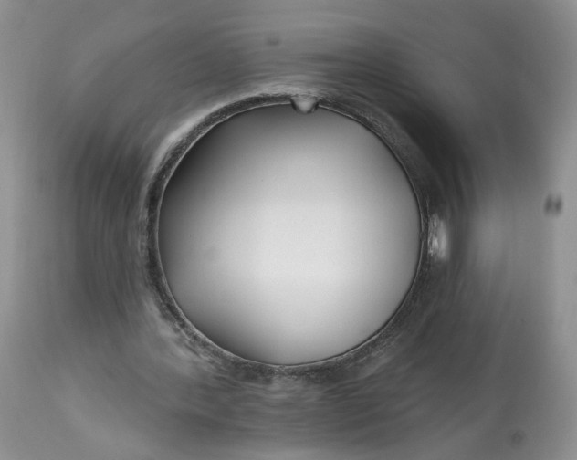 X0000112800388200909111241