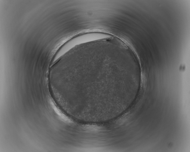 X0000112800389200909111241