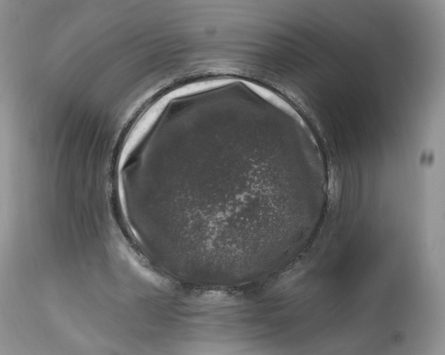 X0000112800390200909111241