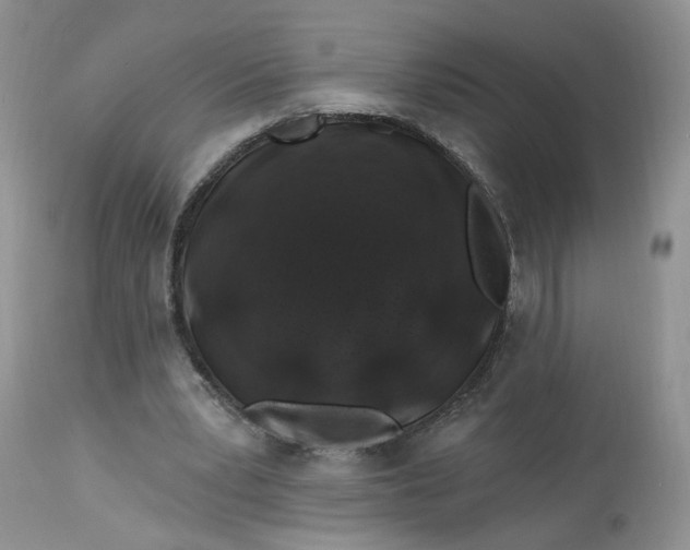 X0000112800391200909111241