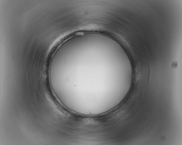 X0000112800392200909111241