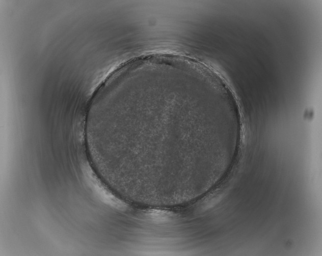 X0000112800393200909111240