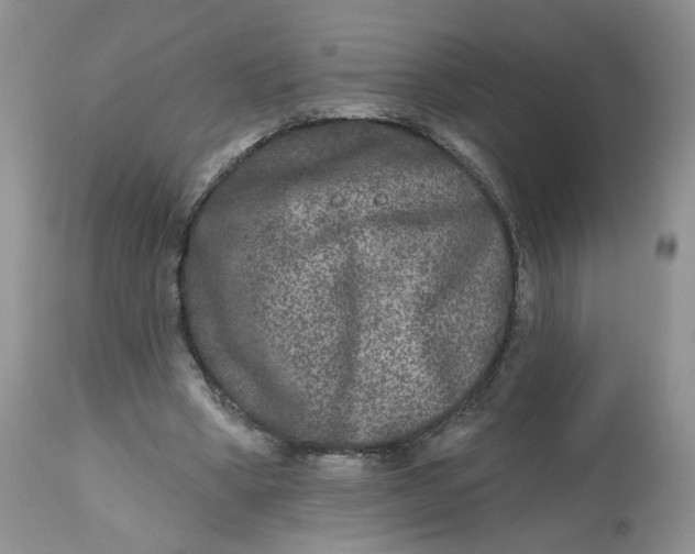 X0000112800394200909111240