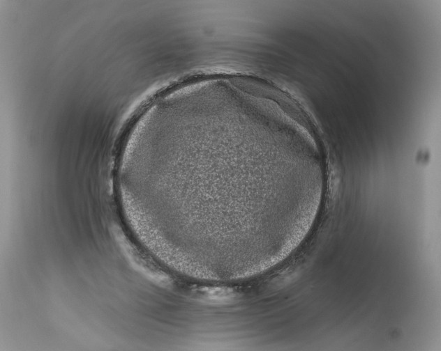 X0000112800395200909111240