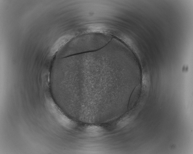 X0000112800397200909111240