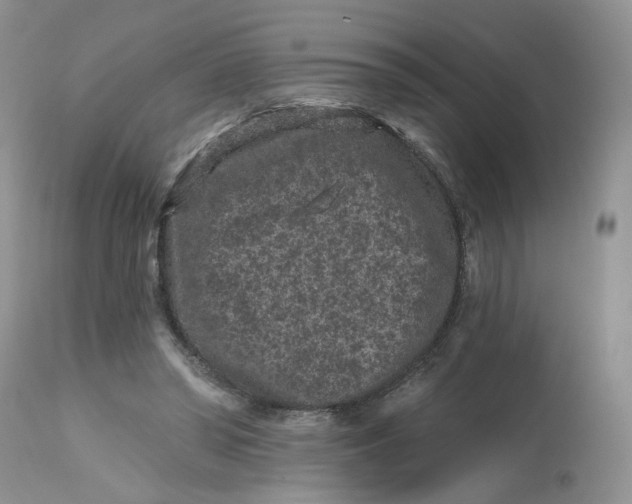 X0000112800398200909111240