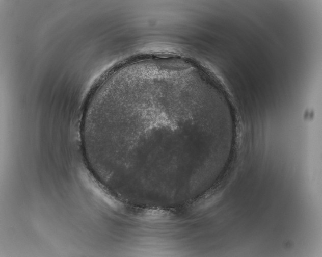 X0000112800399200909111240