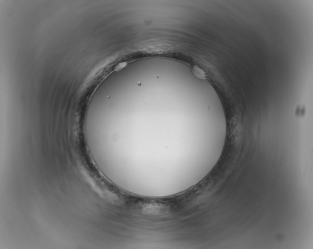 X0000112800400200909111240