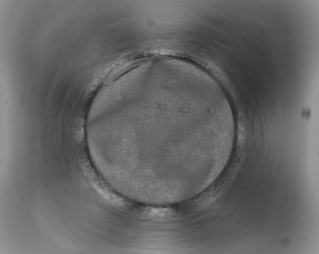 X0000112800401200909111240