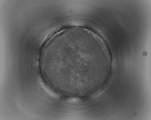 X0000112800402200909111240