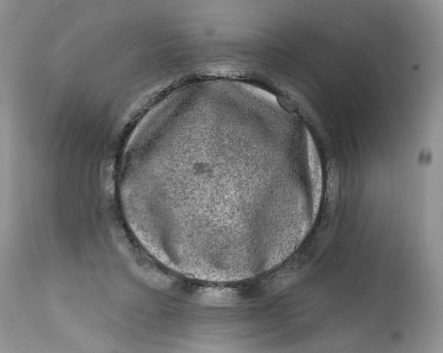 X0000112800403200909111240