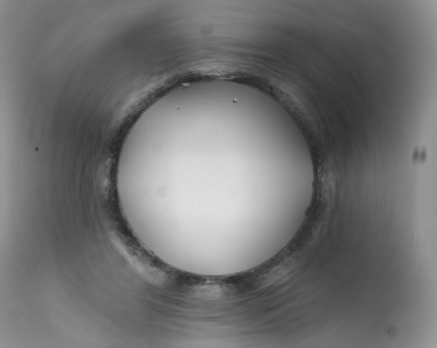 X0000112800404200909111240