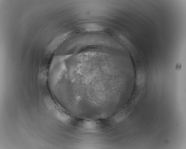 X0000112800405200909111240