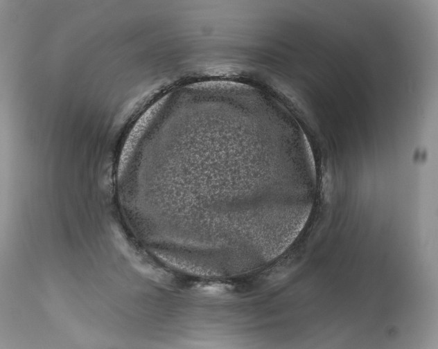 X0000112800407200909111240