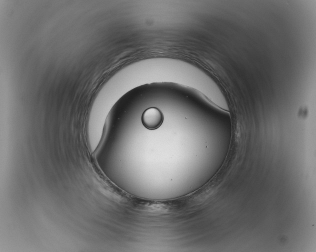 X0000112800409200909111240