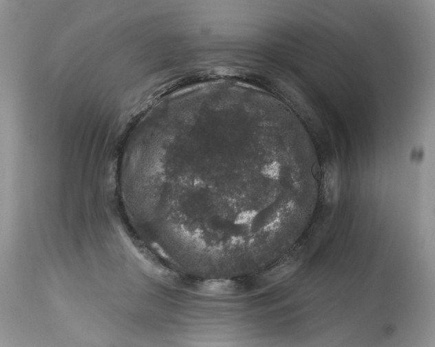 X0000112800410200909111240