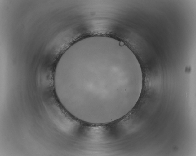 X0000112800411200909111240