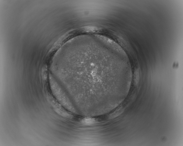 X0000112800413200909111240