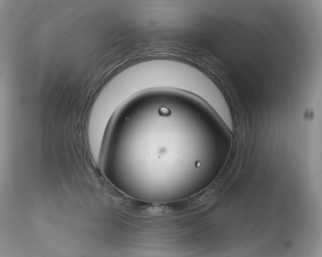 X0000112800415200909111240