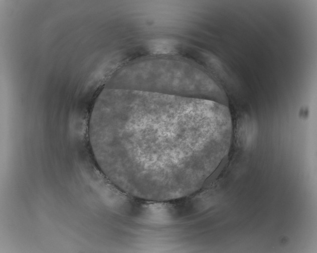 X0000112800417200909111240