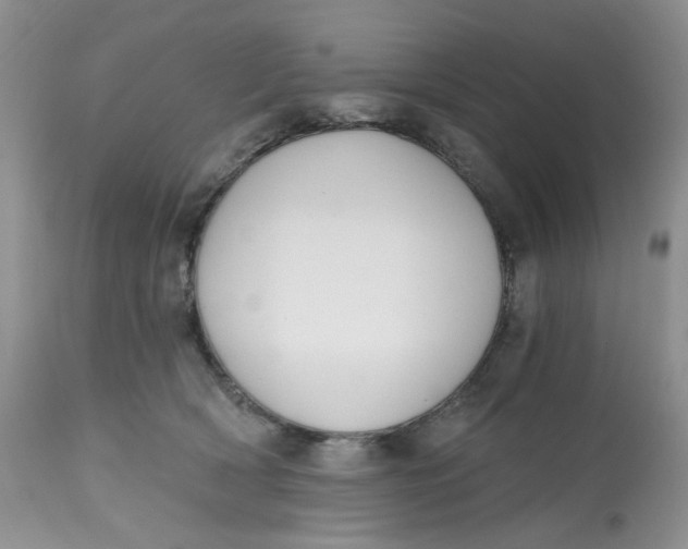 X0000112800418200909111240