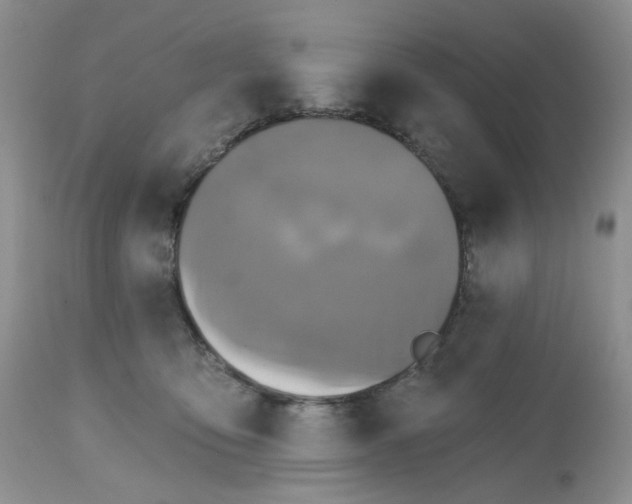 X0000112800419200909111240