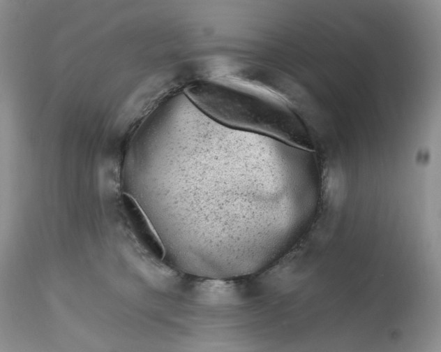 X0000112800421200909111240