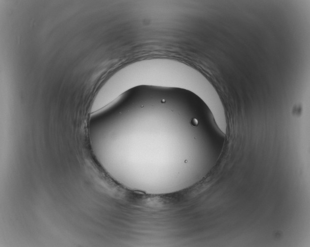 X0000112800423200909111240