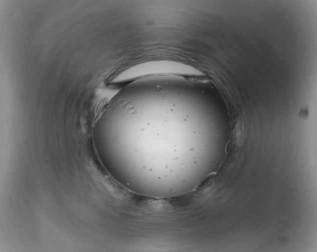 X0000112800424200909111240