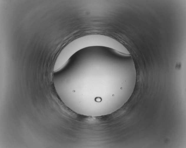 X0000112800425200909111240