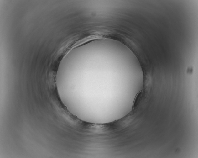 X0000112800428200909111240