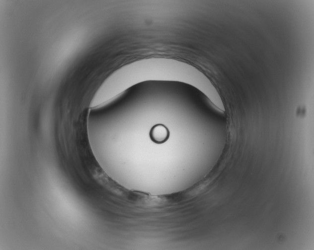 X0000112800429200909111240