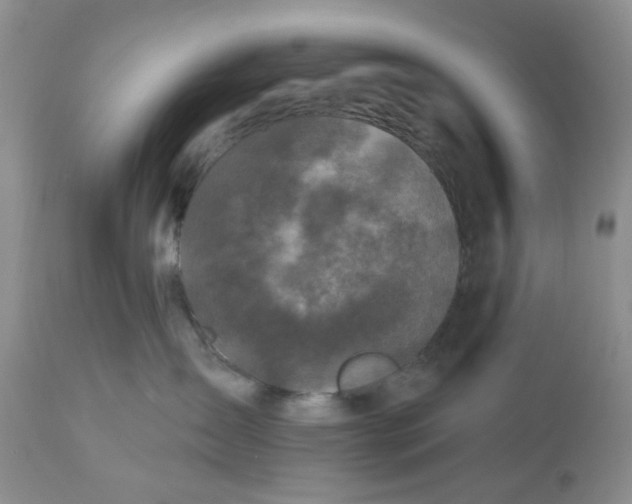 X0000112800431200909111240