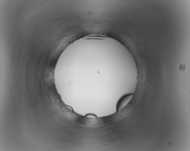 X0000112800432200909111240