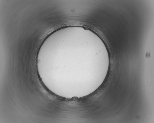 X0000112800433200909111239