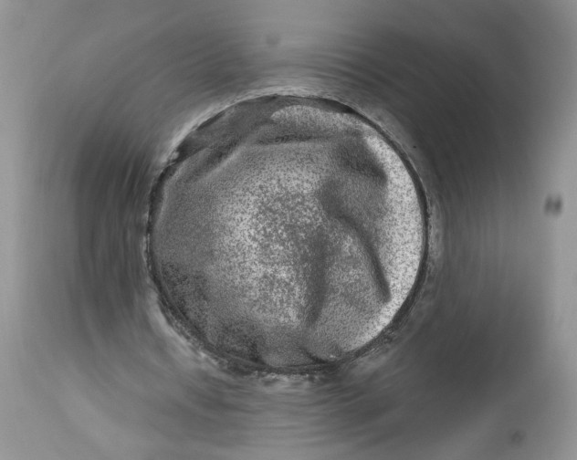 X0000112800434200909111239