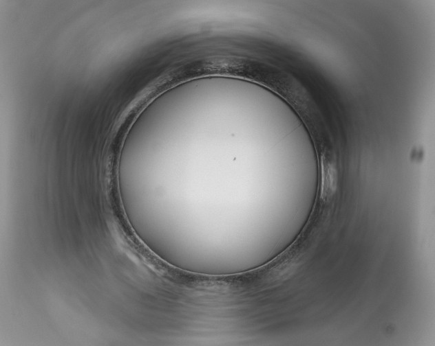 X0000112800435200909111239