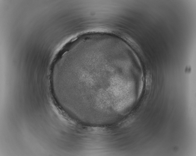 X0000112800436200909111239