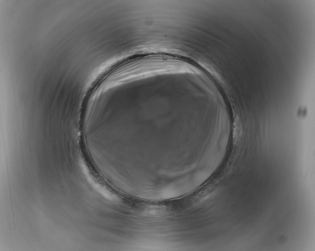 X0000112800438200909111239