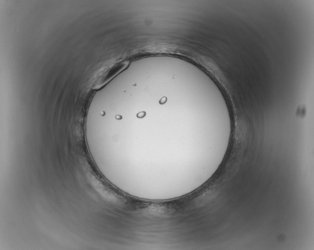 X0000112800441200909111239