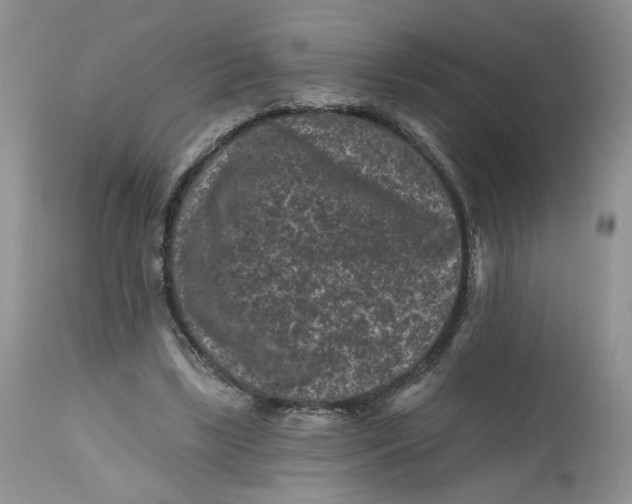 X0000112800443200909111239