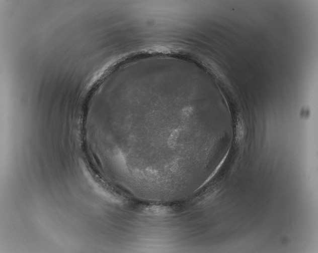 X0000112800444200909111239