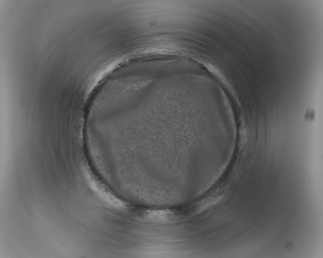 X0000112800446200909111239